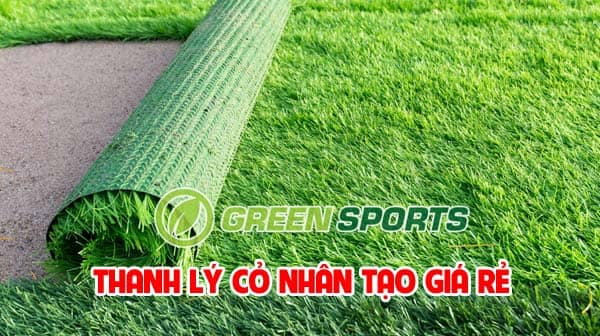 công ty cung cấp cỏ nhân tạo tại Hà Nội